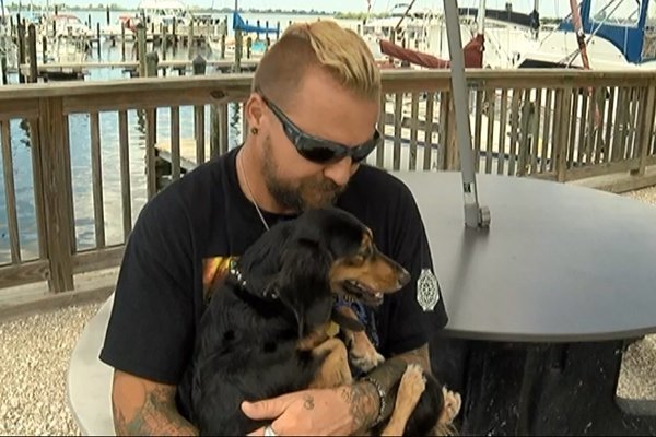 ПОСТ ДОБРА ) Собака упала с корабля в шторм и