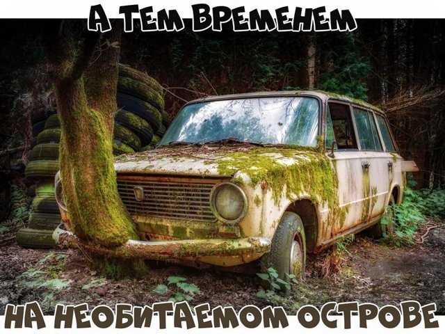 Автовсячина