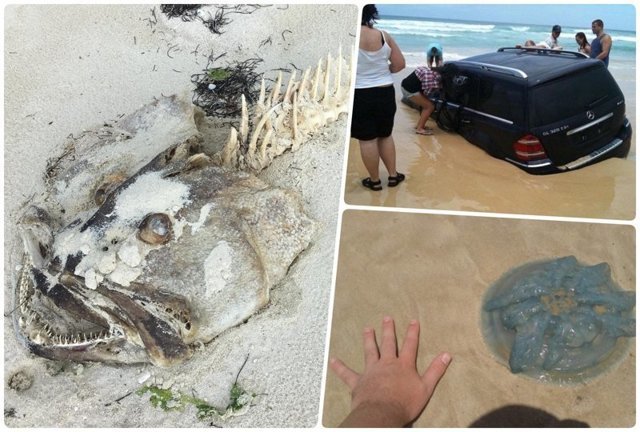 20 чумовых находок, которые люди случайно обнаружили на пляже