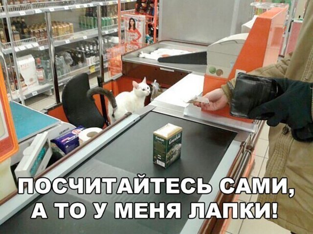 Подборка смешных картинок