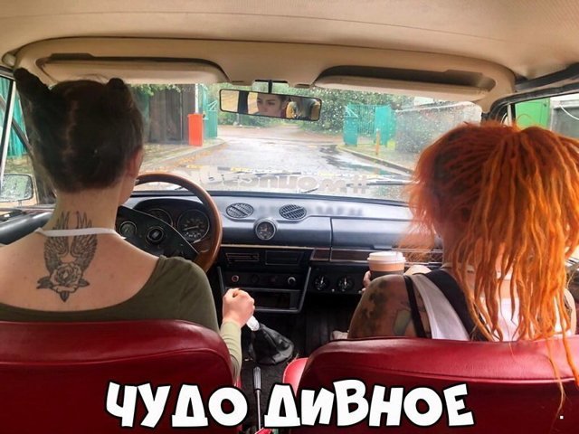 Автовсячина