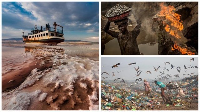 Эта хрупкая планета: победители конкурса экологической фотографии