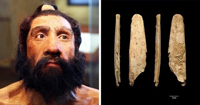 В сети рассказали об инструменте, который был создан 50 тысяч лет назад. Но используется по сей день