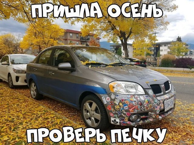 Автовсячина