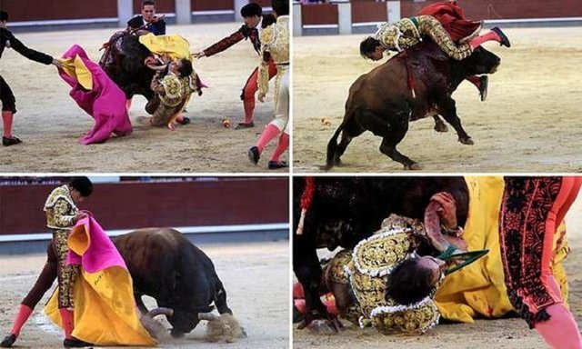 Сезон корриды в Мадриде начался с победы быка