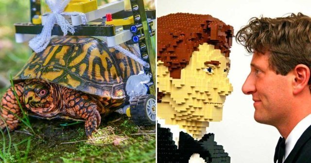 10 интересных фактов о конструкторах Lego, которые вас точно удивят