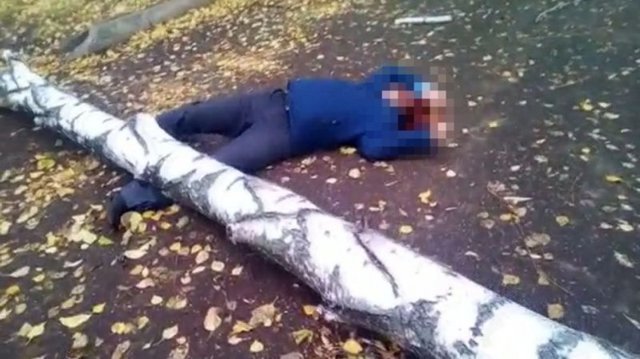 В Нижнекамске мужчину убило упавшим деревом