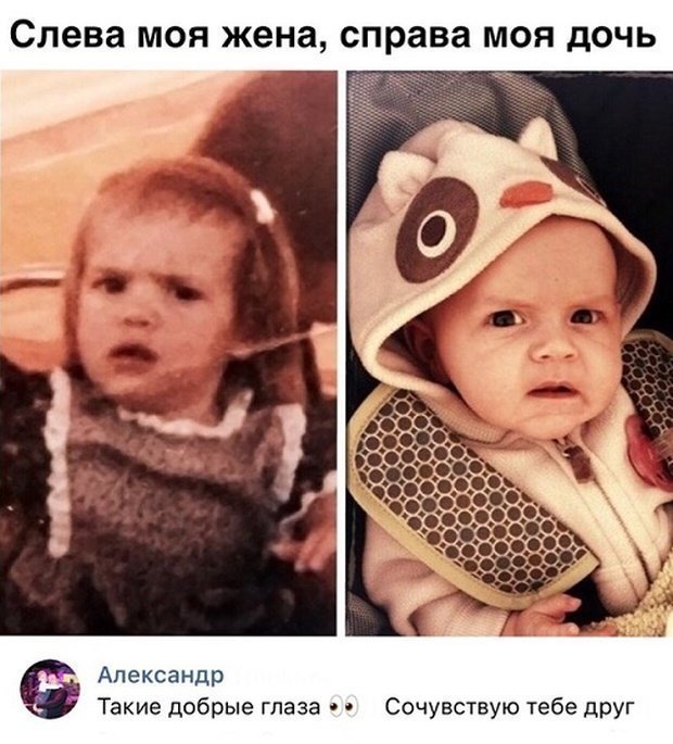 На грани маразма