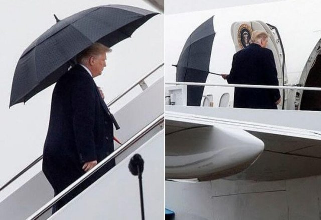 Это склероз, ребята: Трамп забыл, как закрывается зонт и бросил его