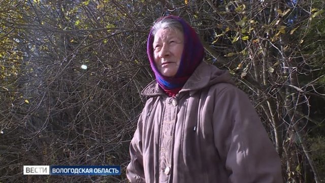 Дрова в кредит: 72-летняя пенсионерка со страхом ждёт зимы