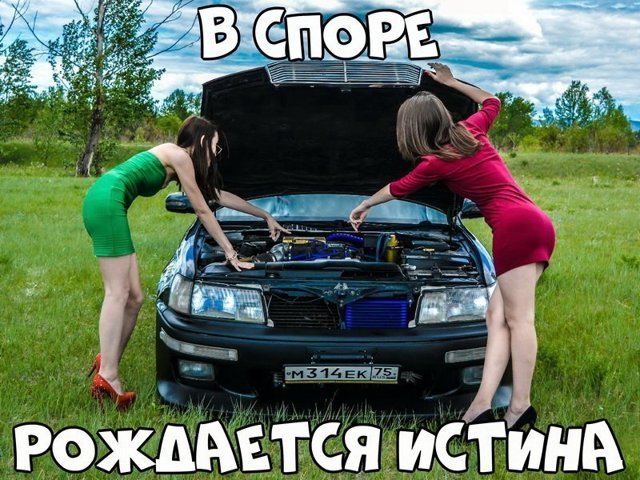 Автовсячина