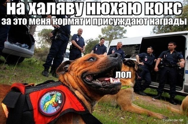 Приколы с просторов интернета и из соц. сетей