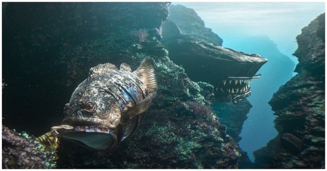 Океан нашего будущего: оригинальный взгляд на последствия загрязнения подводного мира