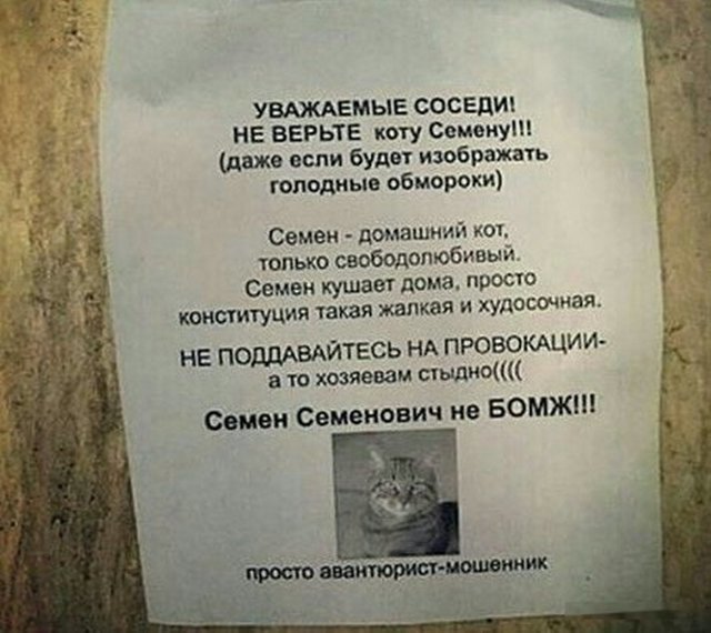 Смешные объявления и надписи