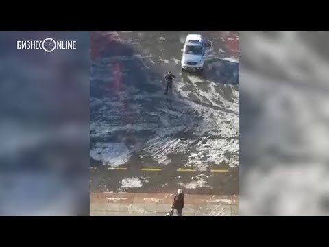 На Камчатке уволили чиновницу, которая призвала усыпить пенсионера как животное