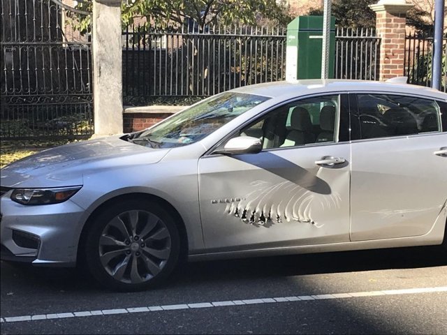 Странные повреждения на двери припаркованного автомобиля