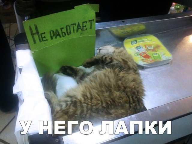 Прикольные и смешные картинки