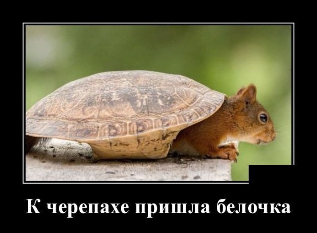 Демчики-мемчики