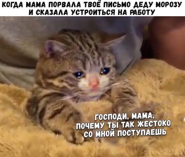 Прикольные и смешные картинки