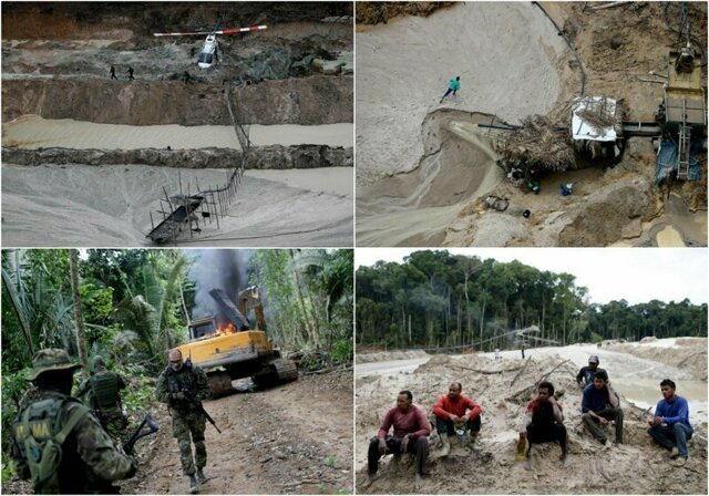 Тропический лес Амазонки в Бразилии находится под осадой нелегальных шахт