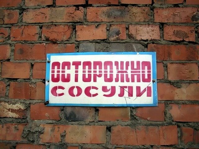 Прикольные картинки