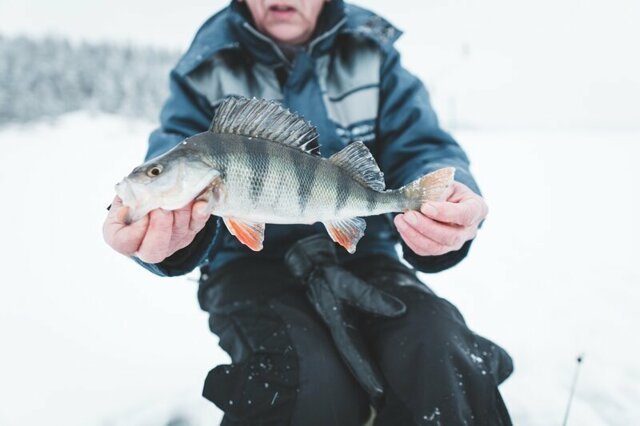 Первая зимняя рыбалка на жерлицы по первому льду. Первые щуки. Открытие сезона
