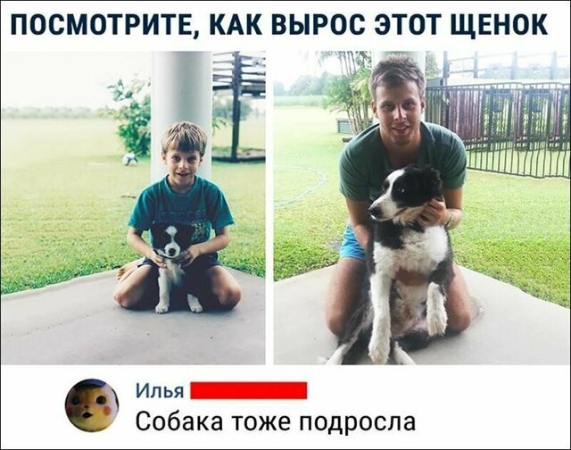 Смешные комментарии из социальных сетей
