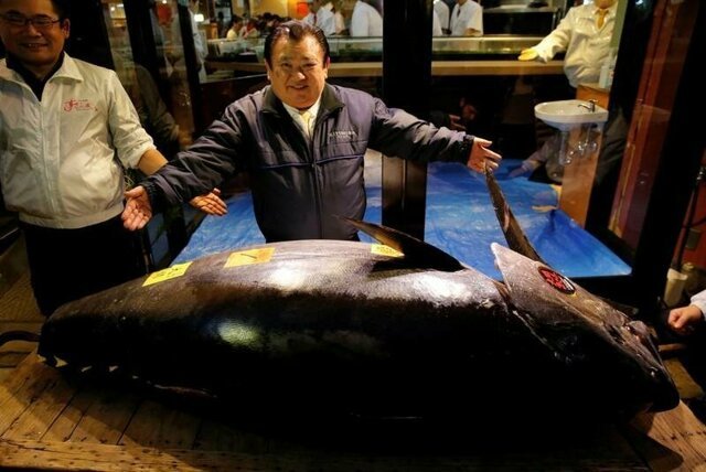 Гигантский голубой тунец был продан с аукциона за $3,1 млн