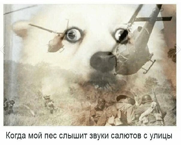 Прикольные и смешные картинки