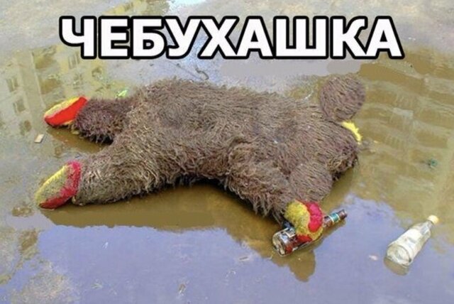 Алкопост на утро субботы