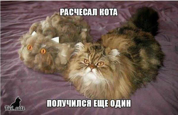 Картинки с надписями