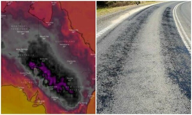 Аномальная жара, накрывшая Австралию, расплавила дороги и убила животных