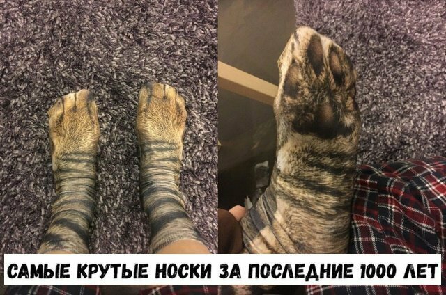Намешалось