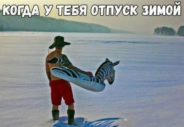 Прикольные и смешные картинки