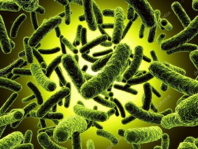 Бактерия трезвости: лечить алкоголизм помогут микроорганизмы