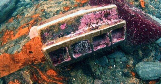 Дайверы нашли пропавшее немецкое судно времен Первой мировой
