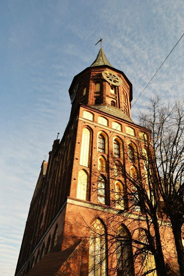 Переезд в Калининград из Сибири. Первые впечатления