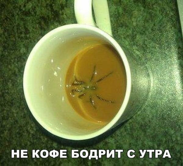 Картинки с надписями