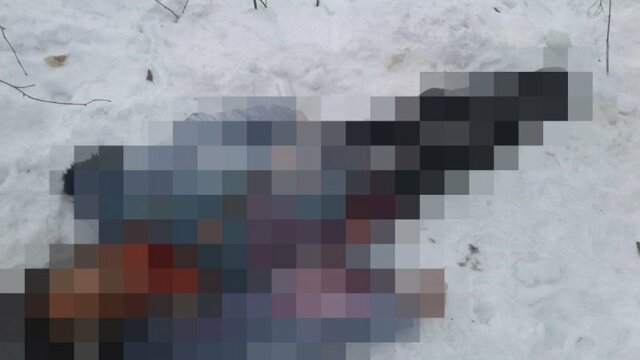 Обглоданное животными тело женщины нашли в Ростовской области