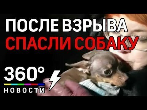Взрыв дома в Красноярске: собаку спасли из‐под завалов после взрыва газа