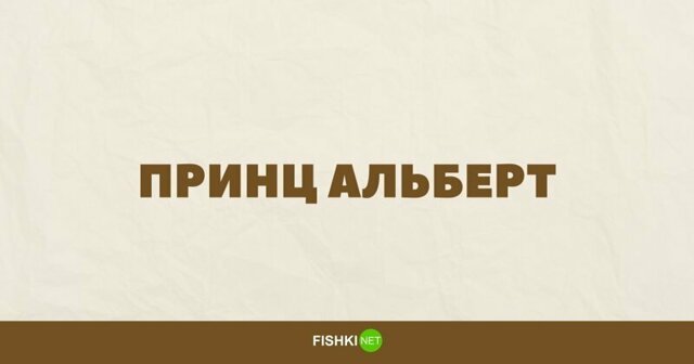 10 безобидных фраз, которые всё ещё не стоит гуглить