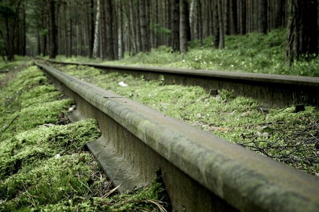 Романтика заброшенной железной дороги