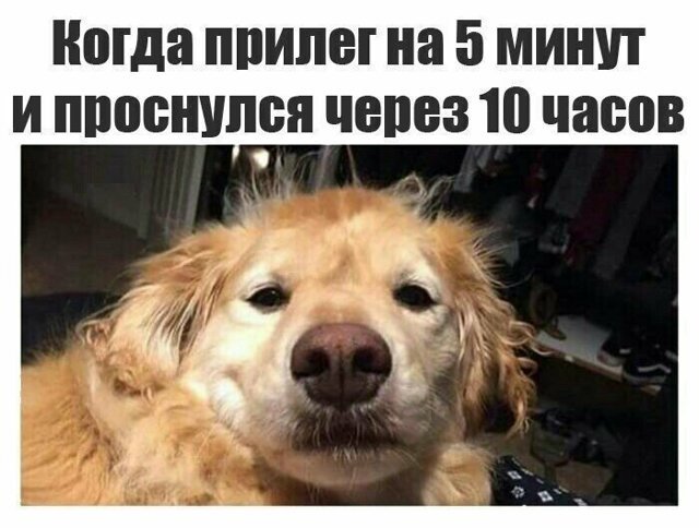 Всякая жизненная всячина