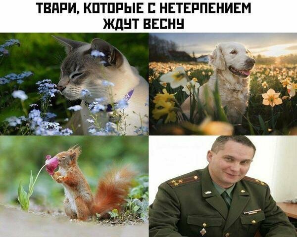 Картинки с надписями