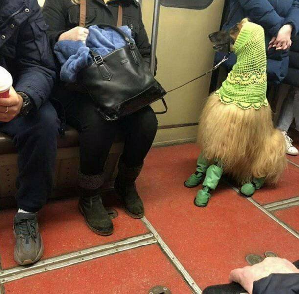 Чего только не увидишь в метро
