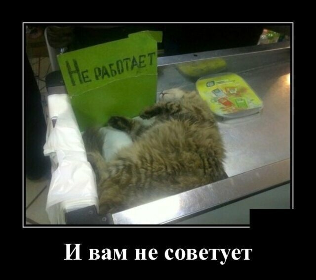 Демотивируй