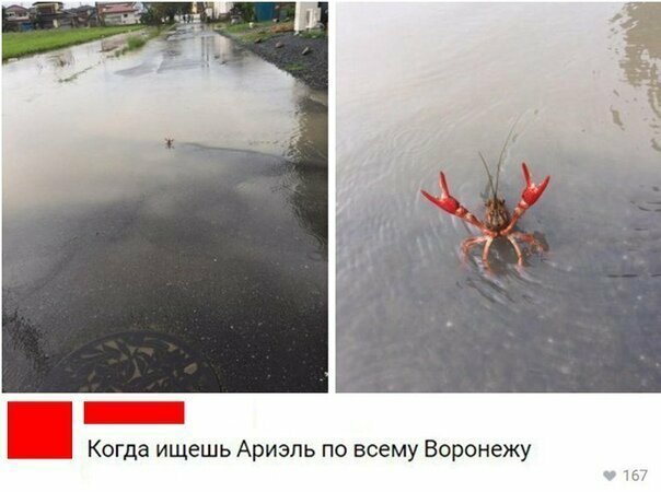 Прикольные и смешные картинки