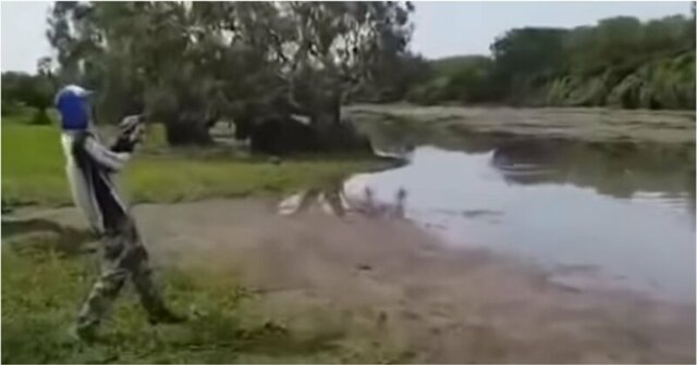 Тем временем в Австралии: крокодил напал на улов рыбака