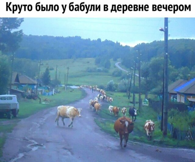 Прикольные и смешные картинки