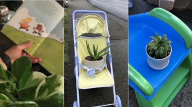 Канадка попросила маму последить за цветами. Та последила так, что заслужила звание «бабушка года»